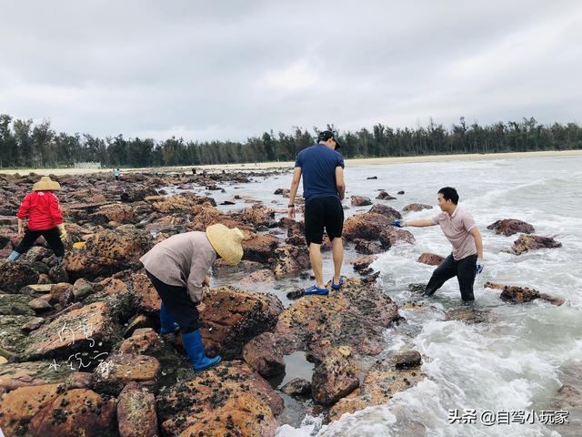 惠州海岛旅游景点哪里好玩，惠州野沙滩大汇总：8个野沙滩