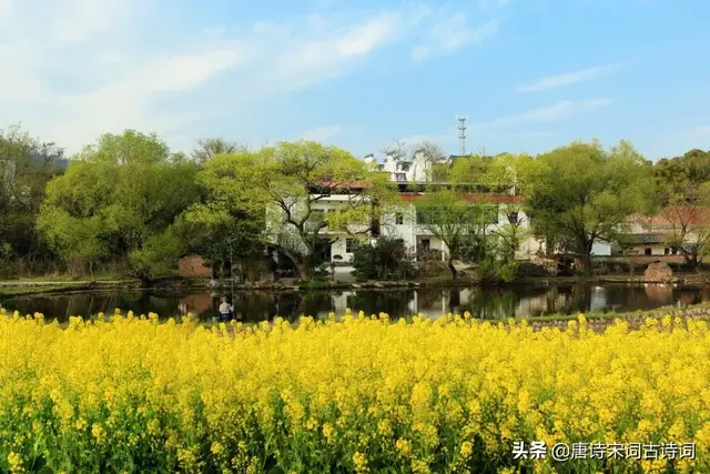 笑语柔桑的词语解释是什么，笑语柔桑的词语解释是什么意思（辛弃疾词里的春天）