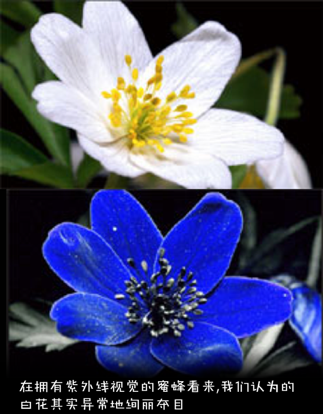 悖论是什么意思，祖父悖论是什么意思（如何解释才能不留BUG）