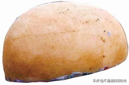 太岁在什么方位，2013年太岁在什么方位（来看看全国所发现的部份“太岁”长得啥样）