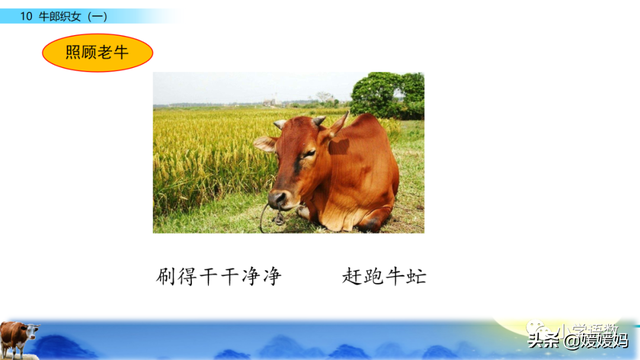 恋恋不舍的意思，恋恋不舍的意思是什么（部编版五级年语文上册第10课《牛郎织女）