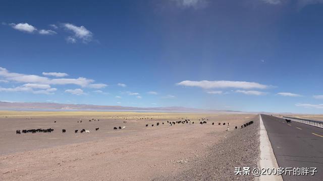 申扎县美食，那曲申扎县地图（前往申扎县的第二天）