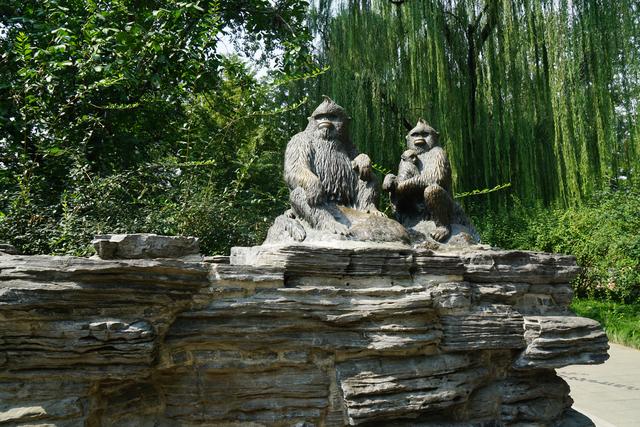 中国最大的动物园，中国动物园排名（中美动物园大PK）