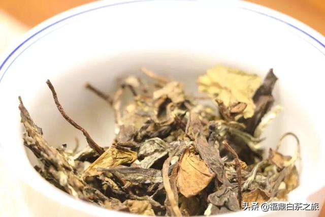 贡眉的功效与作用介绍，福鼎白茶—贡眉