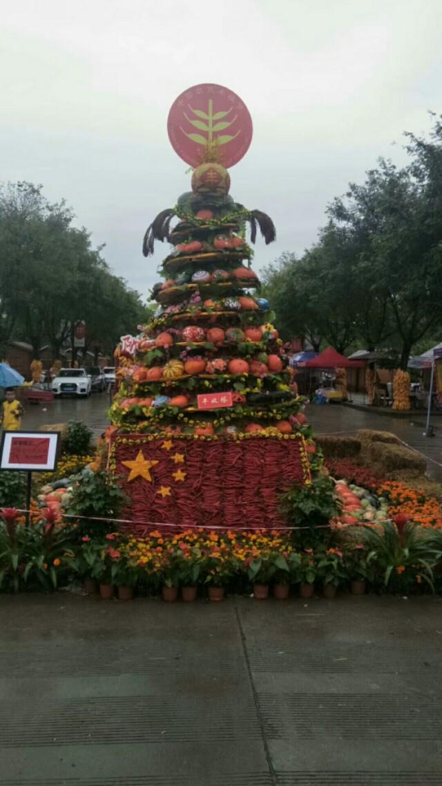 飞鸟与鱼的故事，飞鸟和鱼的故事（胡萝卜    体裁：童话）