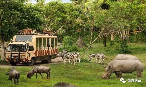 belgium是哪个国家，belgium是哪个国家（最新全球各个国家和地区的狂犬病分级）