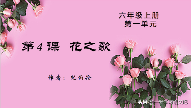 孤芳自赏是什么意思，孤芳自赏是什么意思啊比喻什么（六年级第4课《花之歌》预习笔记）