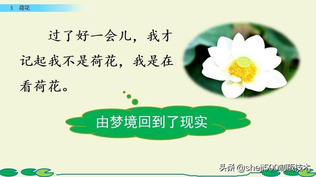 莲蓬的蓬是不是读轻声，莲蓬的蓬为什么读轻声（部编版语文三年级下册第3课《荷花》图文讲解）