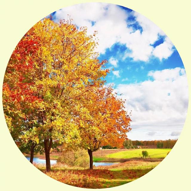 风景照片图片大全，微信头像，风景照片图片大全（令人心旷神怡的美景）