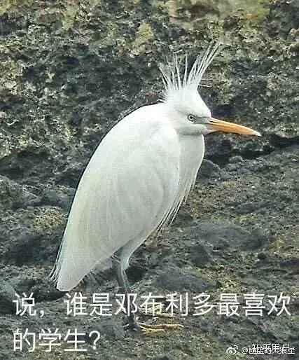 哈利·波特，哈利·波特与被诅咒的孩子（哈利波特头像+图片+壁纸）