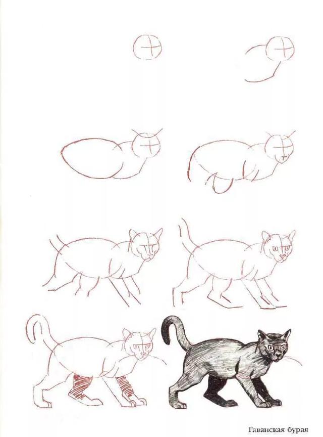 简笔画小猫教程，小猫简笔画一步一步教（8步教你学会画各种猫简笔画）