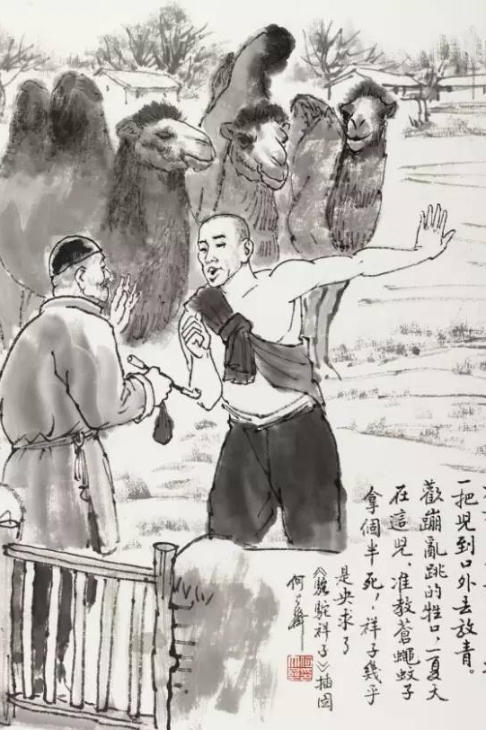 骆驼祥子的评价，对骆驼祥子里祥子的评价（老舍《骆驼祥子》：所谓勇士）