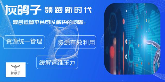 灰鸽子是什么组织，真有灰鸽子这样组织吗（国际服远程控制流畅堪比Teamviewer）