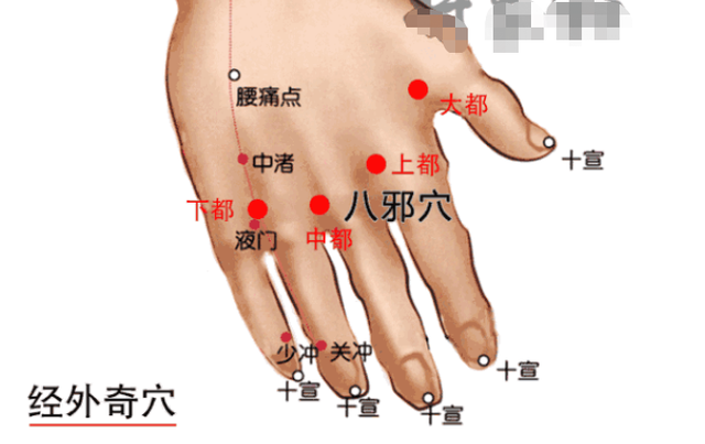 鱼腰的准确位置和作用，个个都是穴位学中的高手