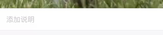 私密照片怎么在相册里找到(用了5年iPhone) 私密照片怎么在相册里找到(用了5年iPhone)