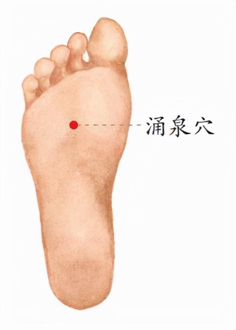 女性养生茶配方，女生养生茶配方（助你寒露养生）