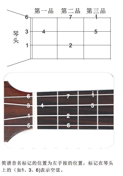 尤克里里是什么，尤克里里是什么东西什么意思（尤克里里的冷门知识）