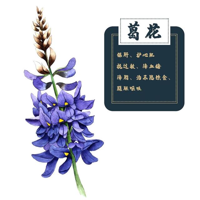 葛粉的10种做法大全，葛根药用价值高，教你如何妙用