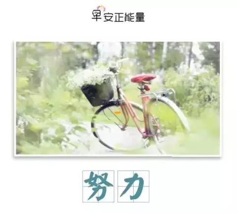 充满阳光正能量的文字图片，充满正能量阳光的说说图片带文字（周三早安心语正能量阳光语录）