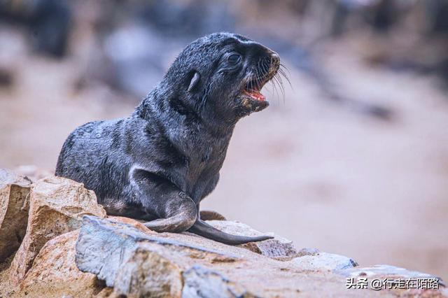 最危险的海滩，最危险的海滩在哪里（全球最危险的海岸）