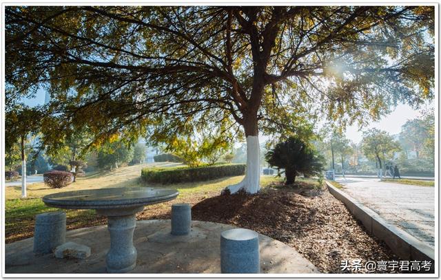 核工程与核技术专业就业前景，核工程与核技术就业（439分值得报这所核特色高校吗）