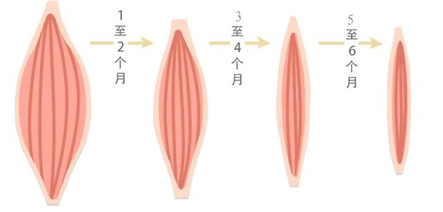 怎么能瘦脸最快，怎么能最快瘦脸（有没有快速瘦脸的方法啊）