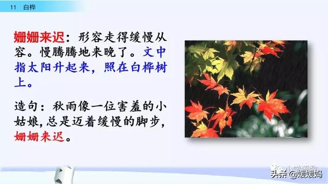 悠扬的近义词，“悠扬”的近义词是什么（四年级下册语文第11课《白桦》图文详解及同步练习）