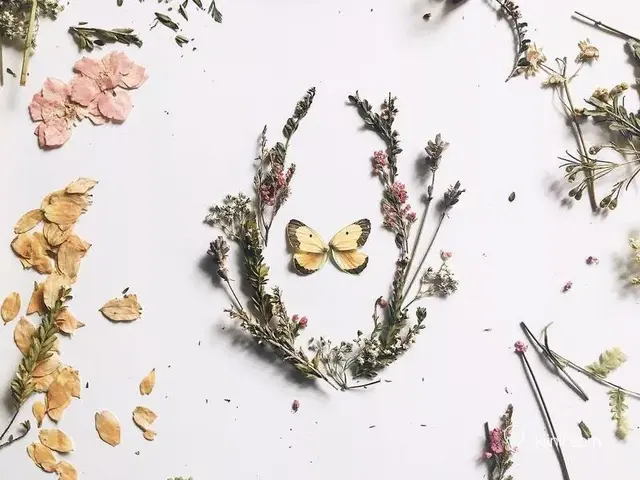 滴胶怎么做，鲜花滴胶怎么做（水晶滴胶的神奇封印术）