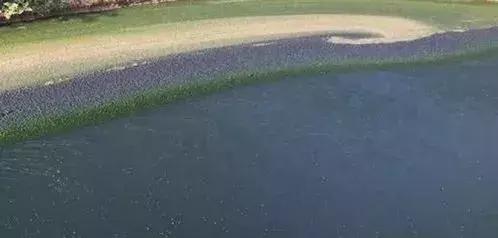 浑浊的水变清的三种方法，水浑浊怎样快速变清（起泡沫、浑浊如何把控）