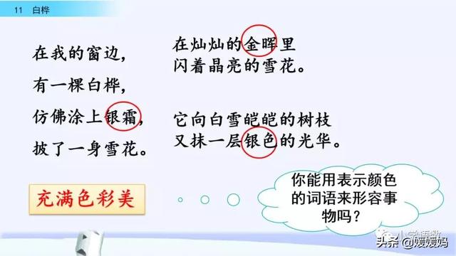 悠扬的近义词，“悠扬”的近义词是什么（四年级下册语文第11课《白桦》图文详解及同步练习）