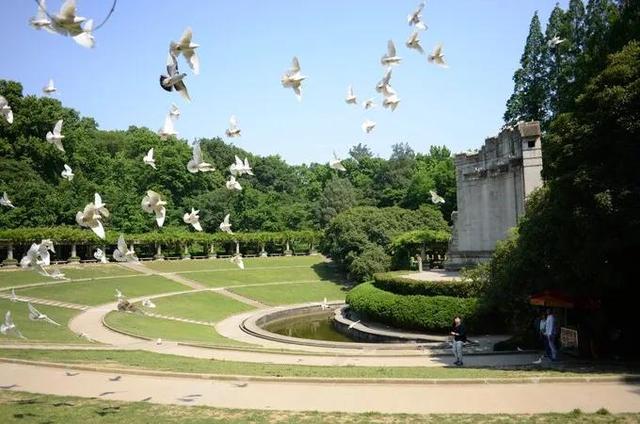 南京好玩的地方排行榜前十名，南京景点排行榜前十名（南京旅游必打卡的10个景点）