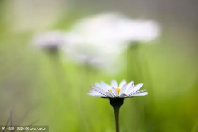 扣字的四字成语，成语大全 四字成语扣字开头（这些关于“春”的成语你家孩子知道多少）