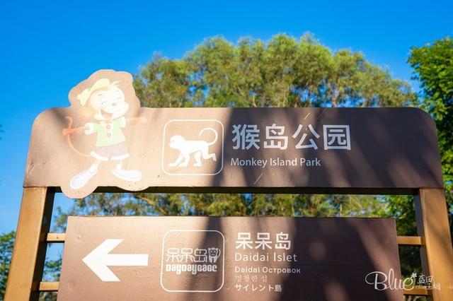 三亚南湾猴岛，三亚的陵水南湾猴岛（这里奉行“多夫多妻”太搞笑）