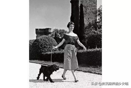 日军与德军哪个更恶毒，日军怕德军吗（为啥战争中常常用狗做间谍）