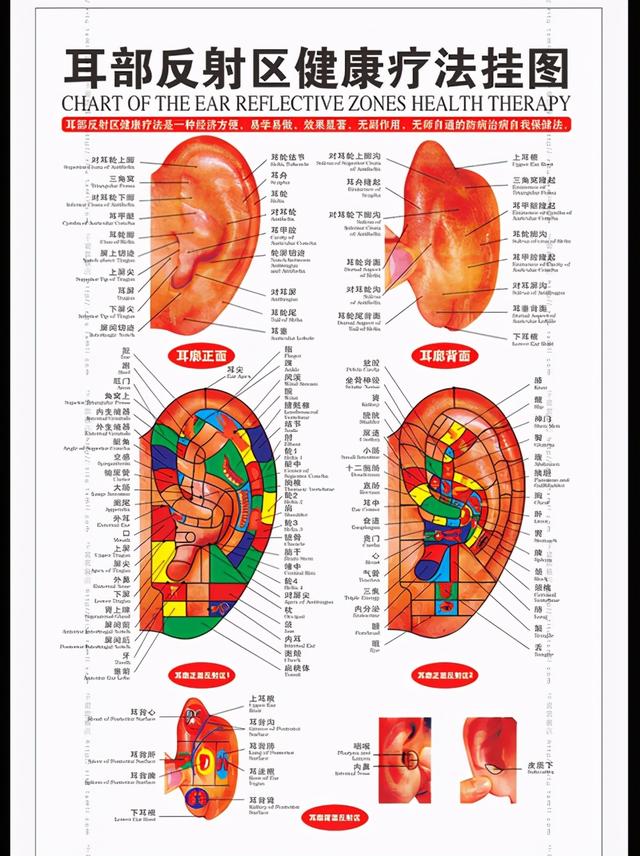 脸部各个部位名称叫什么,脸部位置名称图解(老中医面诊:从脸部五官看