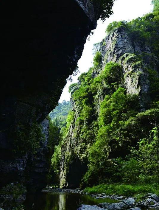 宏村在哪里，安徽宏村在哪里（宏村、西递等旅游景区恢复开放）