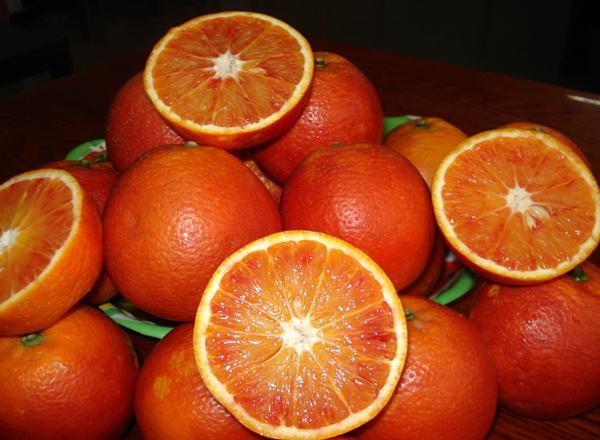 柑橘品种怎么分，柑橘品种（来看看你认识几个）