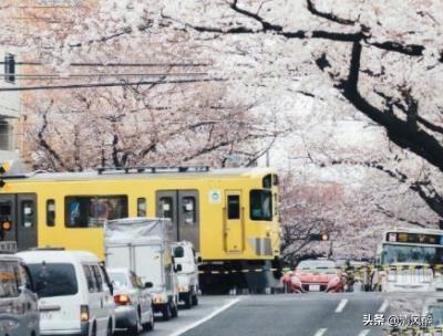 关于恋爱的句子，关于谈恋爱的句子（想谈恋爱的说说心情）