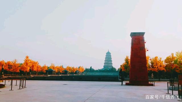 银杏叶的花语和意义，银杏叶的花语寓意（银杏花语、传说和旅游景点推荐）