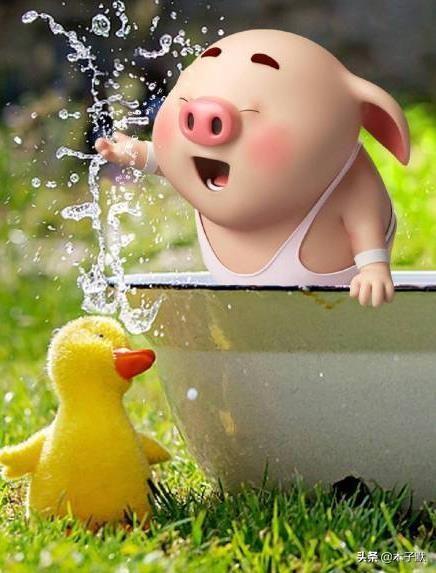 喜乐无忧什么意思，欢喜无忧的意思（新年心愿：所爱之人）