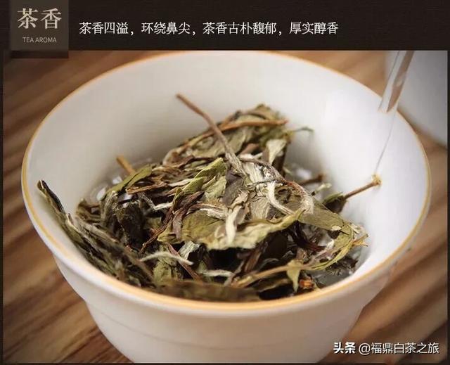 贡眉的功效与作用介绍，福鼎白茶—贡眉