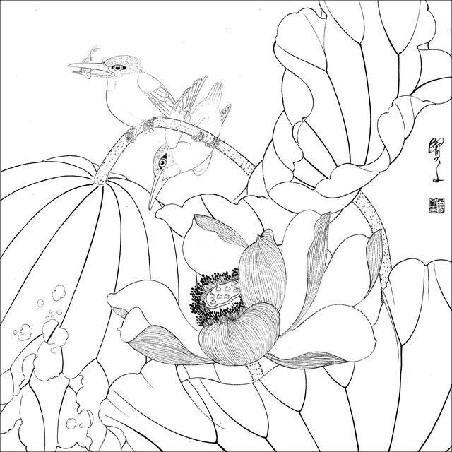 工笔荷花白描，高清工笔荷花白描 110幅