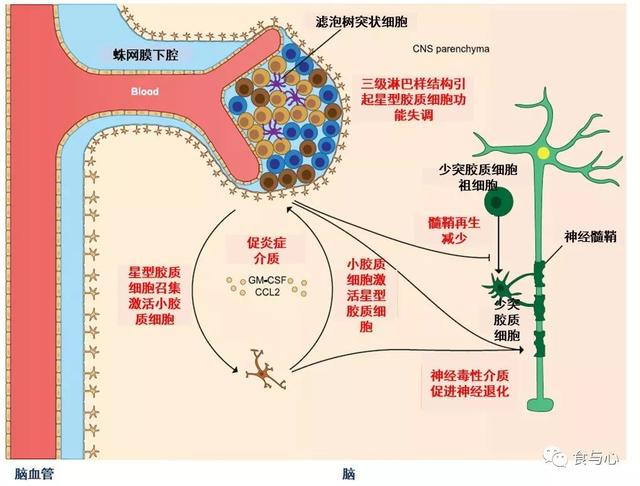 sfb是什么意思，sfnb是什么意思（你必须知道的热知识<二>）