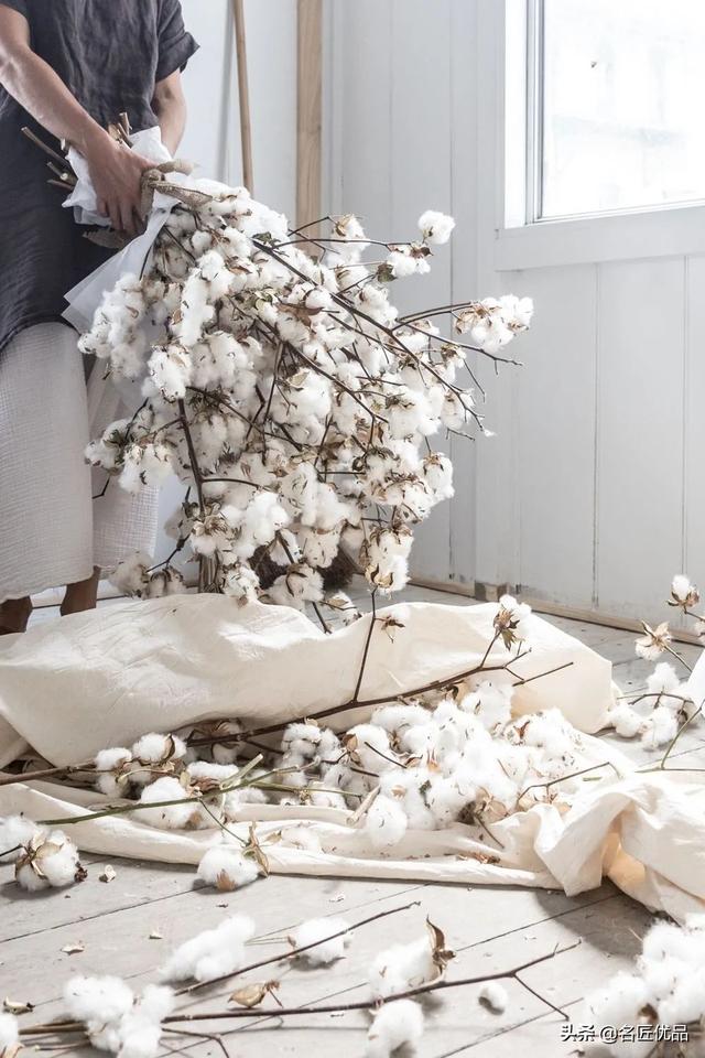 棉花花语和寓意是什么，棉花花语（花店老板娘手中的棉花）