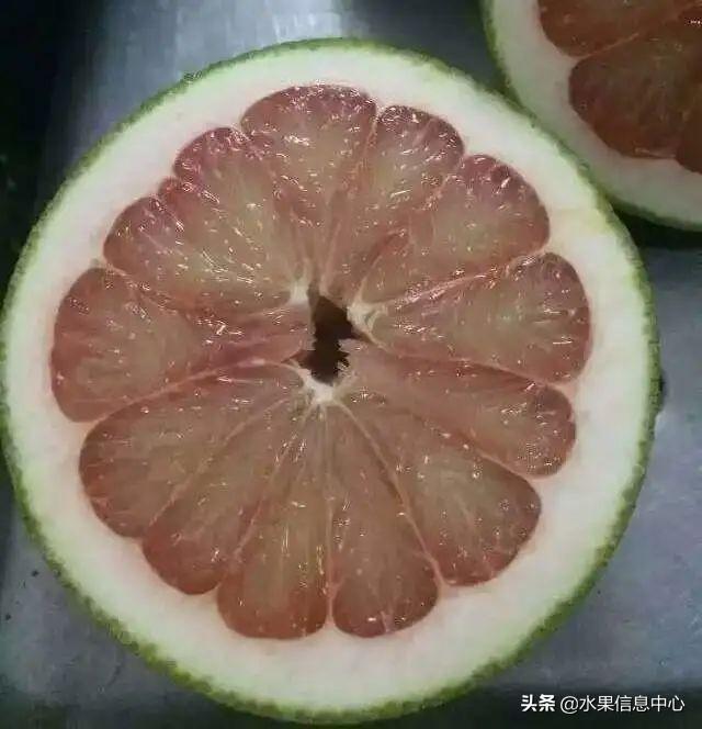 醋柳果的功效与作用，醋柳果的功效与作用及禁忌（国内有哪些小众特色水果）