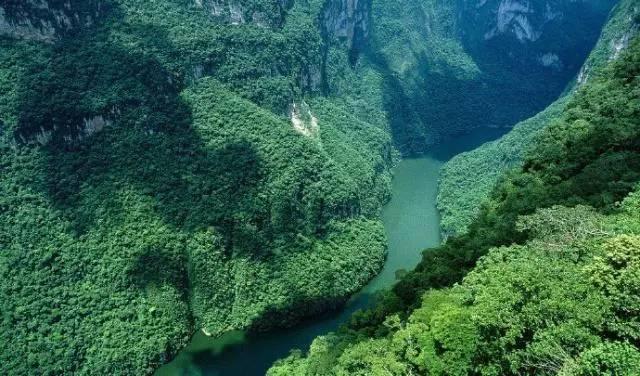 加油打气的句子，加油打气的句子 正能量（为你加油打气的励志说说）