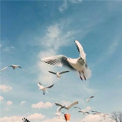 天空图片大全 唯美意境，天空/意境/背景图/ins风 ins风天空背景图（微信风景唯美天空高清无水印头像）