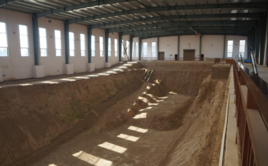 【黄柏木】黄柏木家具好吗，黄柏树木质怎么样（中国最恐怖古墓）