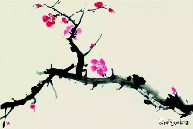 梅花13怎么手绘画，教梅花13怎么画（国画入门教程——梅花的画法）