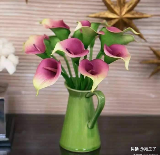 三月是桃月六月是什么月，三月是桃月六月是什么月份（每个月还有不同称呼）